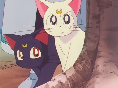 Luna and Artemis Sailor Moon Quotes, Sailor Moon Cat, Sailor Moon Screencaps, Luna And Artemis, Sailor Moon Luna, 90 Anime, Breaking Barriers, Sailor Moon Usagi, Sailor Moon Wallpaper