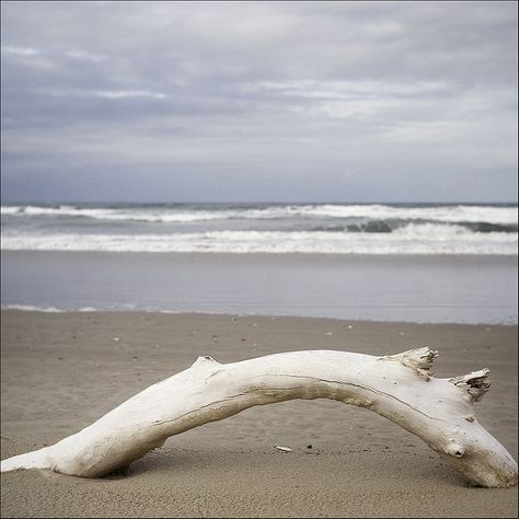 Boho Colors, California Coastline, Driftwood Beach, Paint Color Schemes, Drift Wood, One With Nature, Human Nature, Beach Scenes, Turquoise Color