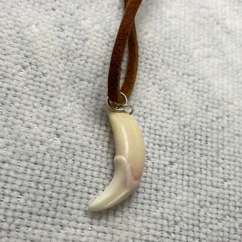 Cat Bones, Teeth Necklace, Animal Teeth, Real Bones, Teeth Jewelry, Jewelry Real, Bone Necklace, Tooth Necklace, Bone Jewelry