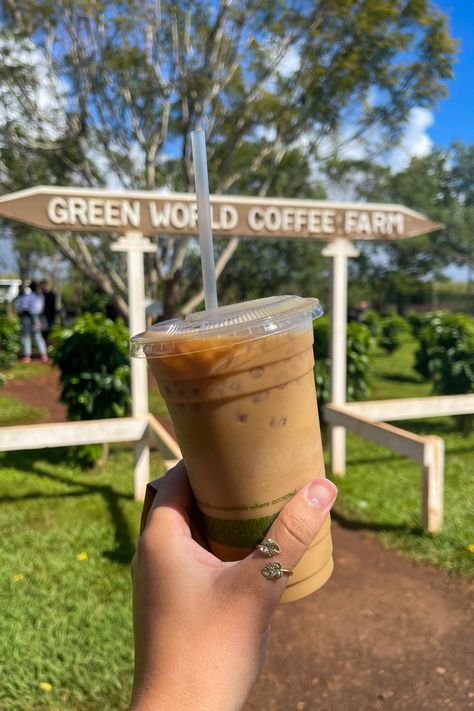 Best Coffee and breakfast on Oahu. Hawaiian Grown Kona Coffee and Cold Brew. Best places to eat Oahu Hawaii. Best coffee and food in Honolulu. Oahu for foodies. Where To Eat In Oahu, Kailua Hawaii, Coffee Island, Oahu Food Trucks, Best Food Oahu, Oahu Restaurants, Best Seafood In Oahu, Hawaiian Coffee, Honolulu Oahu