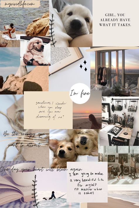 December Mood Board, Golden Retriever Wallpaper, December Mood, Dog Wallpaper Iphone, Colorful Hairstyles, Cute Puppy Wallpaper, Cute Dog Wallpaper, Cute Dogs Images, Puppy Wallpaper