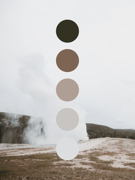 Instagram Storie, Brown Color Schemes, Earthy Color Palette, Corporate Identity Design, Brand Color Palette, Color Palette Design, Color Inspo, Yellowstone National, Earthy Colors