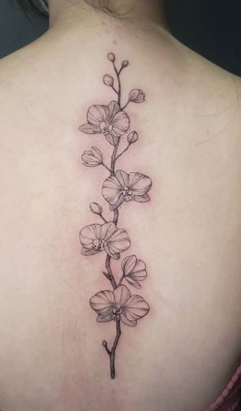 Orchid Flower Tattoos, Girl Spine Tattoos, Tattoo Ideas Inspiration, Flower Spine Tattoos, Spine Tattoo Ideas, Floral Thigh Tattoos, Guys Tattoos, Tattoo Me, Orchid Tattoo