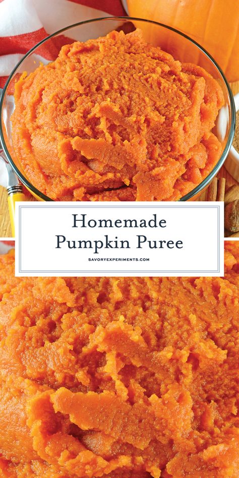 Make some Homemade Pumpkin Puree using one ingredient: pumpkin! Learn about the pie pumpkin and find pumpkin recipes to use your pumpkin puree in! #pumpkinpureerecipes #howtomakepumpkinpuree www.savoryexperiments.com Pumpkin Puree Recipes, Bread Healthy, Pumpkin Loaf, Recipe Pumpkin, Pie Pumpkin, Homemade Pumpkin Pie, Homemade Pumpkin Puree, How To Make Pumpkin, Pumpkin Bread Recipe