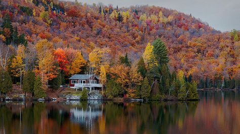 Visit Laurentians, Quebec, Canada for leaf peeping  - Gorgeous fall foliage! Top Vacation Destinations, Whistler Village, Summer Vacation Destinations, Fall Vacations, Fall Colours, Eastern Canada, Visit Canada, Summer Vacations, Autumn Colours