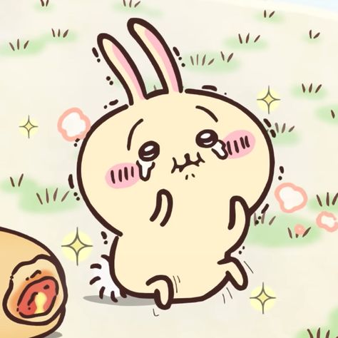 From Chiikawa (ちいかわ) 𝐝𝐞𝐬𝐜: うさぎ. usagi pfp. usagi icon. chiikawa pfp. chiikawa icon Usagi Pfp, Joke Bear, Jaiden Animations, Japanese Kids, Goofy Drawing, Nagano, Cute Pins, Cute Images, Super Funny Videos