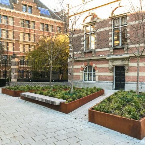 Rough&Ready Straight Tree Isles | Streetlife Steel Retaining Wall, Concrete Deck, Tree Planters, Street Trees, Weathering Steel, Green Street, Wooden Planters, Street Furniture, Corten Steel