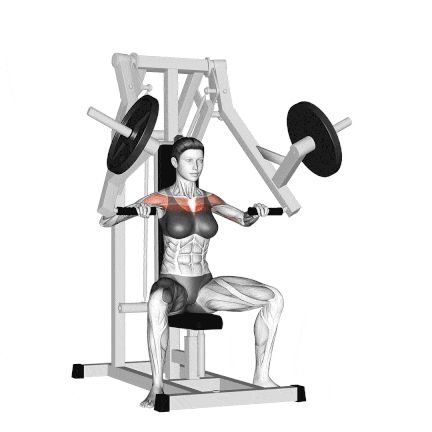 Machine Incline Chest Press Chest Press Machine Workouts, Incline Press Machine, Incline Chest Press Machine, Chest Press Machine, Incline Chest Press, Pectoralis Major, Workout Gym Routine, Shoulder Strain, Muscle Mommy