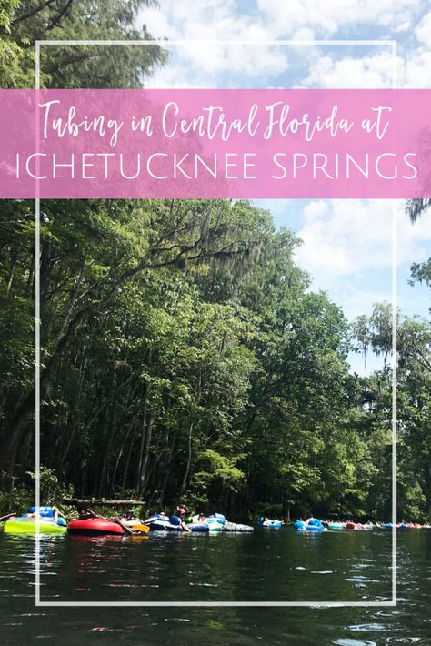 Ichetucknee Springs Florida, Beach Mom, Florida Attractions, River Float, Florida State Parks, Florida Springs, Summer Fun For Kids, Best Vacation Spots, Jacksonville Beach