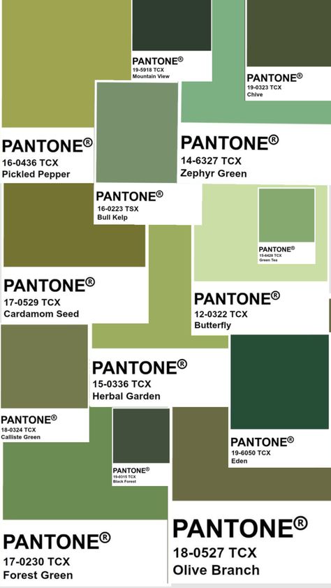 #pantone #pantonecolor #green #swatches #greenaesthetic #olive #ivy #forest #greentea Pantone Green Shades, Green Swatches, Shades Of Olive Green, Green Pantone, Pantone Green, Pantone Swatches, Green Olives, Olive Branch, Black Forest