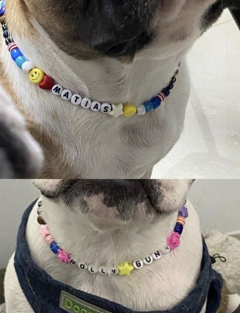 Necklace For Dogs Diy, Diy Dog Necklace, Dog Accesories, Ankle Bracelets Diy, Yarn Bracelets, Cute Dog Collars, Pets 3, Bead Charms Diy, Dog Necklace