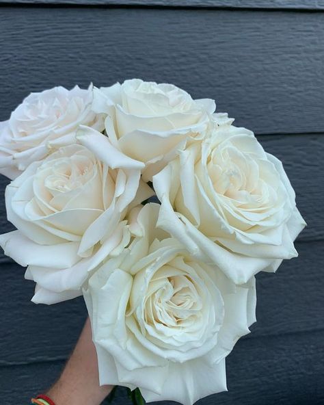 White Playa Blanca Rose, Playa Blanca Rose Bouquet, Types Of White Roses, Blue White Weddings, Green Wedding Inspiration, Floral Boutique, Romantic Bouquet, Flower Guide, Flowers Delivered