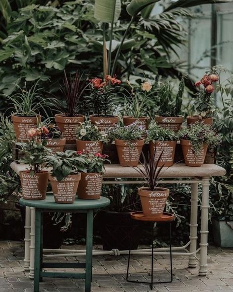 Terracotta Wedding Signage, Terracotta Pot Seating Chart, Wedding Terracotta Pots, Potted Plant Seating Chart, Flower Pot Seating Chart, Terracotta Pots Wedding, Kumquat Wedding, Spring Wedding Table Decor, Teracotta Pots