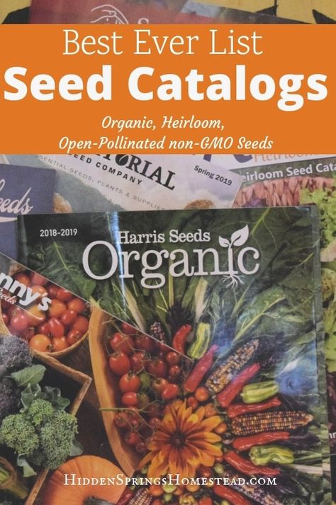 24 Best Free Seed Catalogs for 2019. Organic, Non-GMO seeds. Includes native plant nursery and heirloom seed companies. Best seed catalogs list ever! Seed Companies, Homestead Gardening, Garden Catalogs, Organic Pesticide, Gardening Vegetables, Growing Cucumbers, Starting Seeds Indoors, Backyard Vegetable Gardens, Organic Vegetable Garden