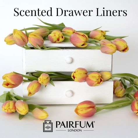 How to make your own Scented Drawer Liner

Why Should You Create Your Own Scented...

See more here:
https://www.pairfum.com

#artisan #authentic #beautiful #blogger #boutique #drawerliner #gift #giftideas #holidaydecor #indie #Interiordesign #London #londonfashion #Love #Natural #niche #Organic #original #paper #Parfum #peace #perfume #real #sachet #scent #shoppingonline #unique #Vegan Scented Drawer Liners Diy, Homemade Drawers, Diy Drawer Liners, Scented Drawer Liner, Diy Fragrance, Diy Scent, Vanity Drawers, Cinnamon Oil, Diy Drawers