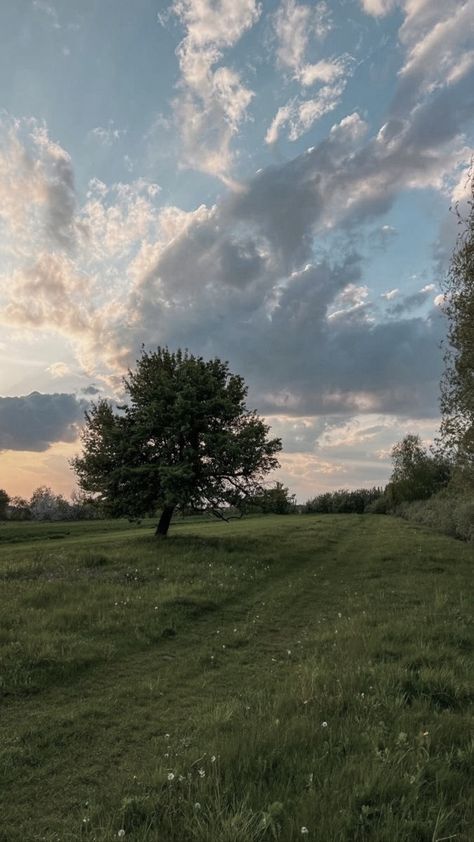 Country Side Aesthetic, Country Aesthetic, Country Side, Phone Wallpapers, Dish Soap, Phone Wallpaper, Soap, Wallpapers, London