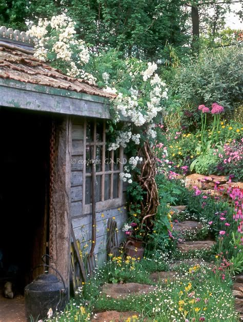 a beautiful shed roof | Beautiful lush garden & waterfall in spring | Plant & Flower Stock ... Rustic Shed, Best Greenhouse, Greenhouse Shed, Garden Waterfall, Potting Sheds, Spring Plants, She Sheds, Garden Sheds, Potting Shed