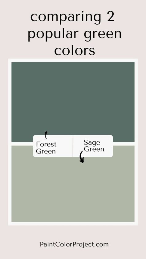 comparing the colors forest green vs sage green including undertones, coordinating colors, complimentary colors, and accent colors Complimentary Green Colors, Sage Green Complimentary Colors, Sage Green Paint, Violet Brown, Colour Trends, Green Paint Colors, Complimentary Colors, She Shed, Green Paint