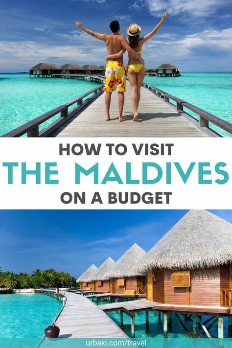 How to Visit The Maldives on a Budget Underwater Restaurant, Tropical Vacations, Budget Friendly Travel, Packing Ideas, Cheap Vacation, Overwater Bungalows, Maldives Travel, Travel Budget, Budget Tips