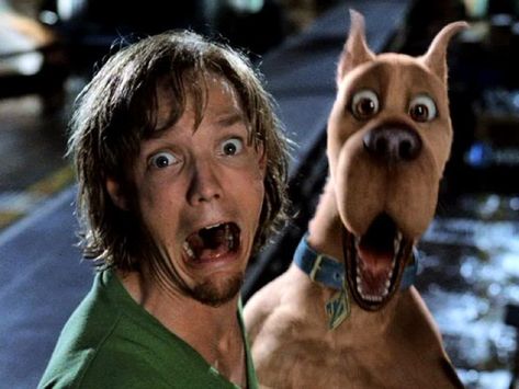 Shaggy Scooby Doo Movie, Scooby Doo Tumblr, Movie Duos, Scooby Doo Pictures, Scooby Doo Mystery Inc, Scooby Doo Movie, Scooby Doo Images, Shaggy Rogers, Scooby Doo Mystery Incorporated