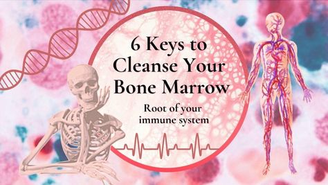 Bone Marrow may be your #1 TOP secret to health and longevity. Deep inside your bones is a busy factory of new cells, life-giving health, and rejuvenation. The marrow produces blood cells and stem cells. It creates DNA for new healing and cellular defense. What makes the bone marrow so special? And how can we harness this miracle to improve health ... Cod Liver Oil, Bone Marrow, White Blood Cells, Red Blood Cells, Blood Cells, Stem Cells, Health Awareness, Improve Health, Chinese Medicine