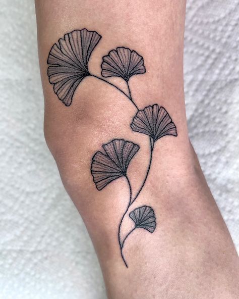 tattoo ideas leaves vines ginkgo tree cute aesthetic line work minimalistic nature flower knee tattoos ink black and white girly artist art design skin leg tat simple flash sheet tattooing needle 5rl small lines Ginko Leaf Tattoos Traditional, Skeleton Leaf Tattoo, Fiddle Leaf Tattoo, Simple Flash Sheet, Over The Knee Tattoo, Knee Tattoo Ideas, Flower Vine Tattoos, The Knee Tattoo, Knee Tattoos