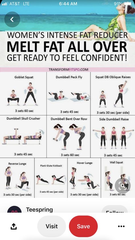 Weight Lifting Plan For Women, Elbow Workout, Weight Lifting Benefits, Weight Lifting Plan, Fitness Organization, Glute Kickbacks, Easy At Home Workouts, Cardio Workout At Home, Summer Body Workouts