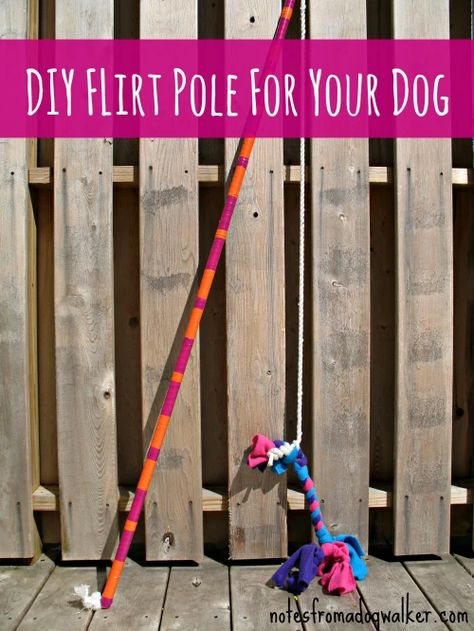 Diy Dog Toys, Dog Enrichment, Dog Games, Dog Projects, Aggressive Dog, Dog Agility, Diy Dog, Dog Obedience, Dog Training Obedience