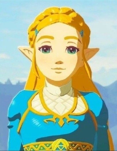 Queen Zelda, Princess Pirate, Zelda Hyrule Warriors, Zelda Drawing, Legend Of Zelda Characters, Princesa Zelda, Botw Zelda, Zelda Cosplay, Hyrule Warriors