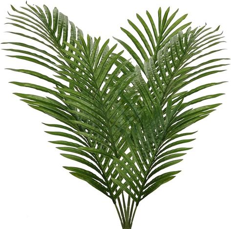 Amazon.com: Large Artificial Palm Leaves Palm Fronds Tropical Leaves Areca Palm Branches Palm Leaves with Stem Palm Tree Leaves Faux Palm Leaves for Floral Arrangement Fake Leaves Palm Sunday Decor-Large Leaf : Home & Kitchen Fake Leaves, Artificial Palm Leaves, Palm Branch, Greenery Arrangements, Areca Palm, Palm Tree Leaves, Palm Plant, Artificial Leaf, Palm Sunday