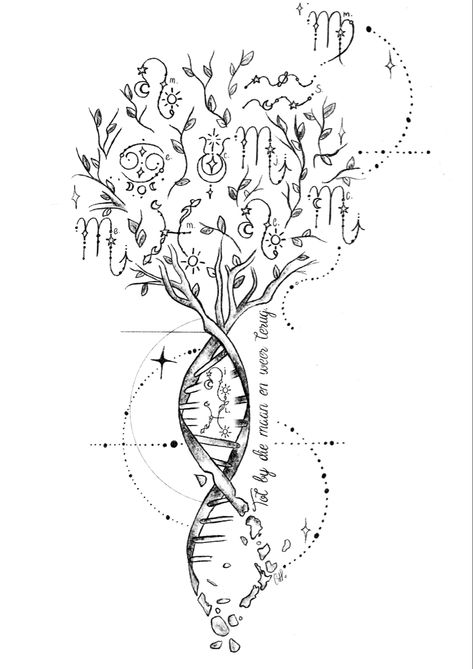 Zodiac star signs DNA family tree tattoo designs nature tree Family Tree Spine Tattoo, Tree Of Like Back Tattoo, Family Tree Of Life Tattoo, Family Spine Tattoos For Women, Constilation Tattoo Back, Dna Family Tree Tattoo, Tattoos With Family Meaning, Dna Family Tattoo, Family Roots Tattoo