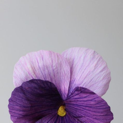 Crepe Paper Pansies, Paper Pansies, Kids Craft Storage, Flowers Craft, Crepe Paper Flowers, Paper Flowers Craft, Paper Artist, Crepe Paper, Craft Storage