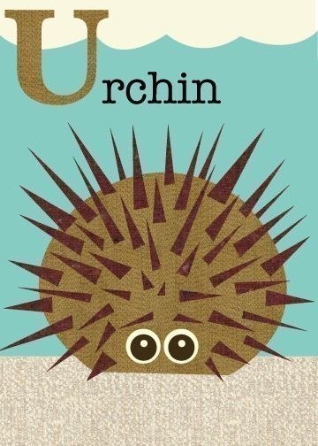 Letter U urchin by JennSki on Etsy, $14.00 Urchin Crafts For Preschoolers, Letter U Crafts, U Craft, Letter Book, Childcare Ideas, Class Crafts, Abc Wall, Illustration Journal, Letter Crafts