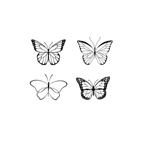 Different Types Of Butterflies Tattoos, Butterfly Tattoo Reference, Butterflies Tattoo Outline, Types Of Butterflies Tattoo, Simply Butterfly Tattoo, Simple Tattoos Outline, Morpho Butterfly Tattoo, Butterfly Tattoo Outline, Bb Tattoo