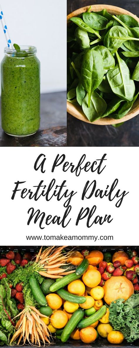 Fertility Meal Plan, Ttc Diet, Ivf Diet, Fertility Smoothie, Fertility Foods, Daily Meal Plan, Fertility Diet, Fertility Boost, Natural Pregnancy