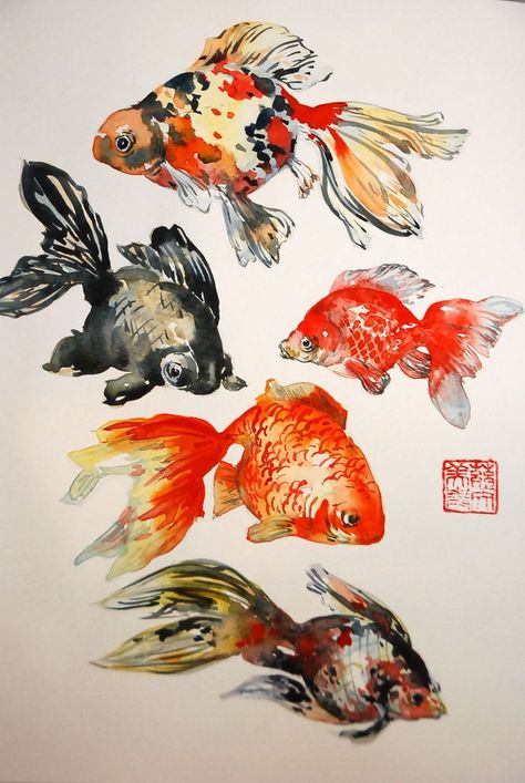 Fish Paintings, Fancy Goldfish, Goldfish Art, Koi Art, Art Fish, Watercolor Fish, Fish Drawings, 수채화 그림, Romantic Atmosphere