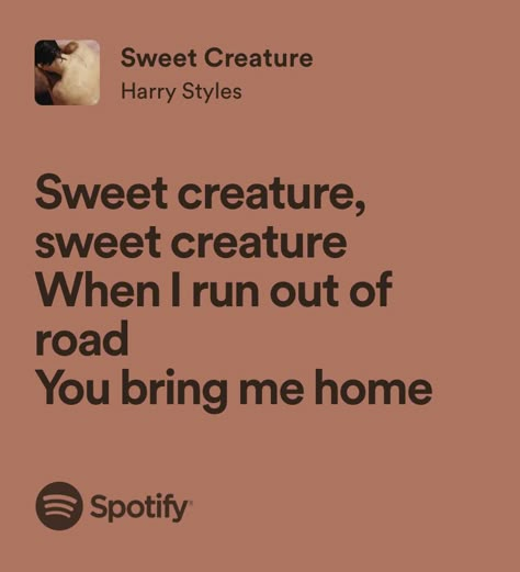 sweet creature - harry styles Nora Stephens And Charlie Lastra, Sweet Creature Lyrics, Friendship Lyrics, Nora Stephens, Book Lovers By Emily Henry, Harry Styles Quotes, Style Lyrics, Harry Styles Songs, Emily Henry