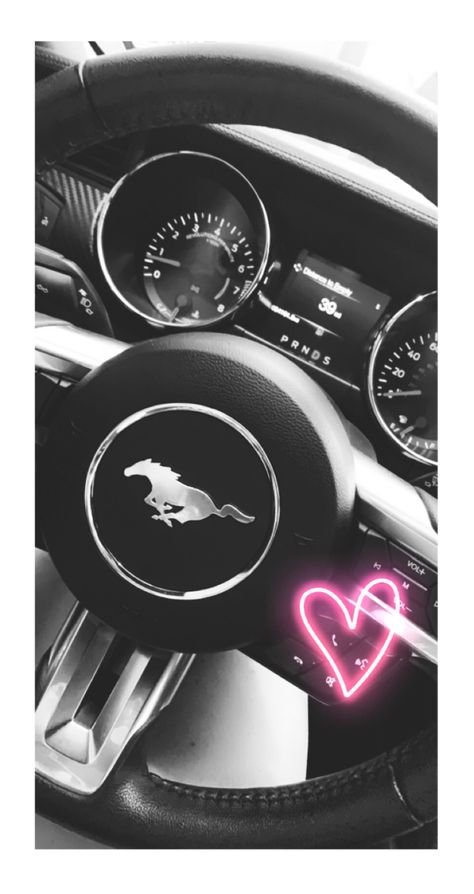 Mustang Gt Aesthetic, Mustang Interior, Girls Driving, Phone Display, Mustang Cars, Driving Pictures, Super Car, Random Pictures, Cute Song Lyrics