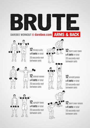 Brute: Arms & Back Workout Darebee Workout, Fitness Studio Training, Dumbbell Workouts, Dumbell Workout, Gym Antrenmanları, Arm Workouts, Weight Training Workouts, Workout Stuff, Training Workouts