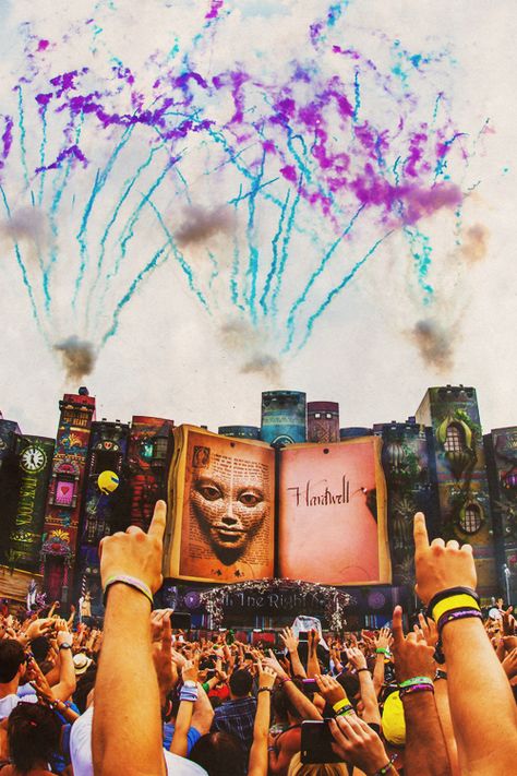 Tomorrowland!. Tomorrowland Music Festival, Hands Up In The Air, Tomorrowland Festival, A State Of Trance, Electronic Music Festival, World Of Tomorrow, Festivals Around The World, I Love Cinema, Edm Festival