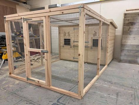 Bunny Outdoor House, Insulated Rabbit House, Walk In Rabbit Enclosure, Outdoor Rabbit Enclosure Diy, Rabbit Pen Outdoor, Rabbit Shed Ideas, Outdoor Rabbit Enclosure, Raising Bunnies, Ferret Room