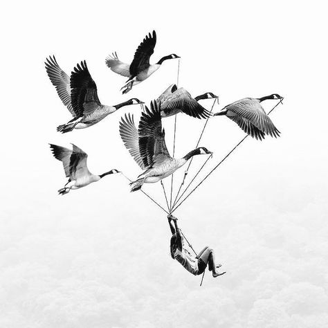 Migration Tattoo, Surreal Tattoo, 1080p Anime Wallpaper, Unique Drawings, Tattoo Project, Cool Wallpapers Cartoon, Iphone Wallpaper Tumblr Aesthetic, Hippie Art, Care About You