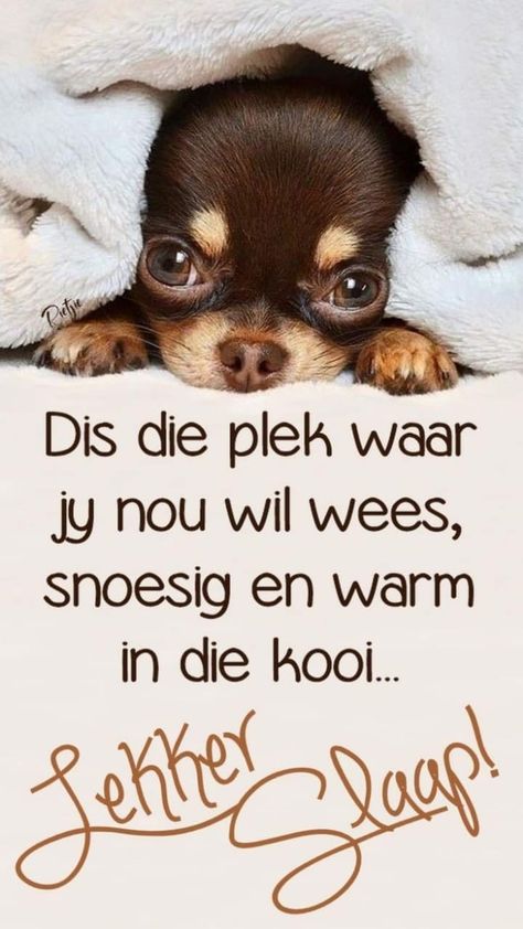 Lekker Dux Oulik, Goeie Nag Dis Koud, Lekker Warm Slaap Afrikaans, Lekker Slaap Afrikaans Goeie Nag, Lekker Slaap Afrikaans, Mother Daughter Love Quotes, Lekker Slapies, Cute Picture Quotes, Goodnight Messages