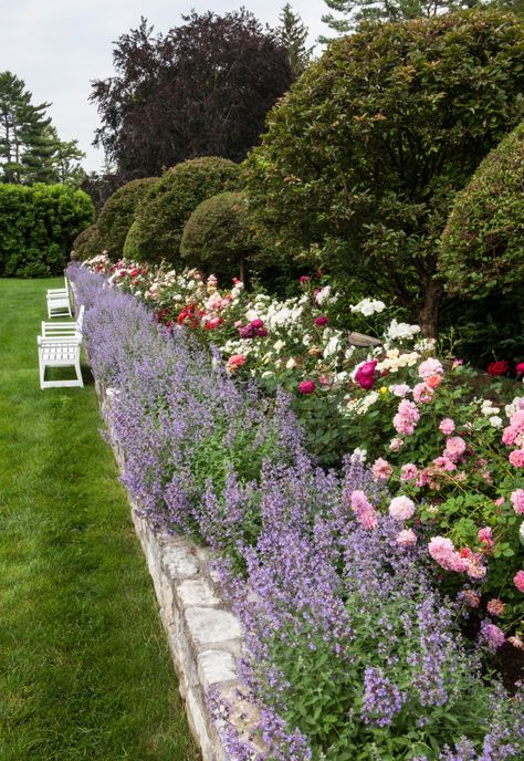 Backyard Simple, Screen Porches, Funny Vine, Rose Garden Design, Lavender Garden, Garden Design Layout, Flower Garden Design, Magic Garden, Have Inspiration