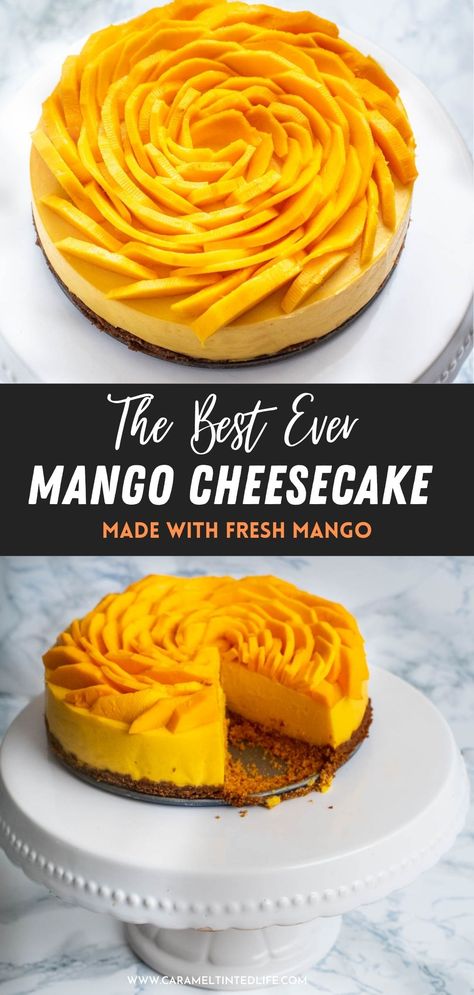 Easy recipe for the smoothest, silkiest mango cheesecake made with fresh mango puree and no added cream! Garnished with fresh mangoes, makes for a delicious summer treat! #mango #cheesecake #instantpot #summer #instapot #dessert Baked Recipe, Mango Dessert Recipes, Plain Cookies, Recipe List, Mango Cheesecake, Mango Dessert, Caramel Apple Cheesecake, Multi Cooker, Healthy Version