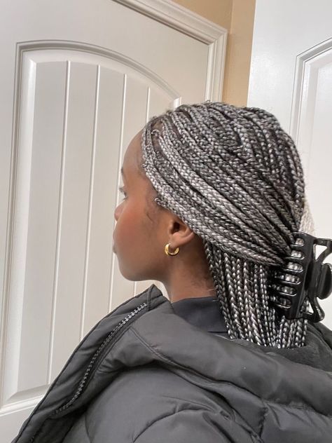 Purple Knotless Braids, Purple Knotless, Box Dreads, Grey Braids, Grey Box Braids, Grey Hair Braids, Braiding Hair Colors, Hairstyles With Braids, Braided Hairstyles For Black Women Cornrows