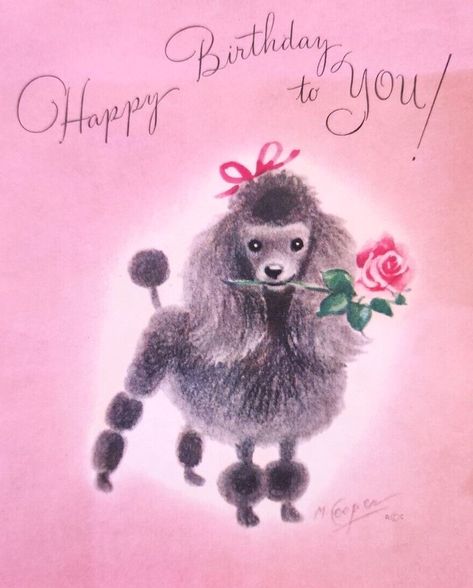 Poodle Happy Birthday, Poodle Puppy Cut, Poodle Card, Poodle Party, Poodle Christmas, Birthday Gorgeous, Happy Birthday Gorgeous, Inspiration Moodboard, Happy Birthday Vintage