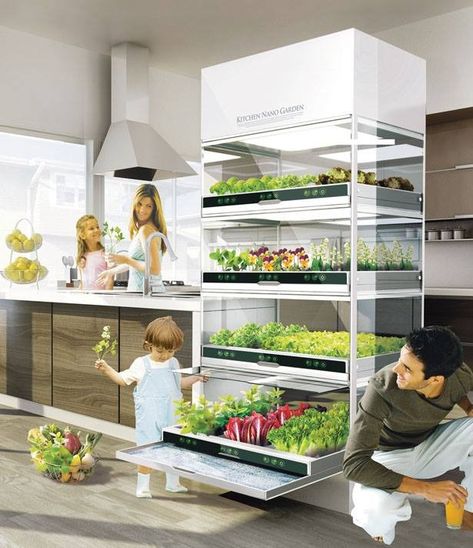 Ikea's Hydroponic System Allows You To Grow Vegetables All Year Round Without A Garden... Hydroponic Garden, Hydroponic Systems, Hydroponic Farming, Hydroponics Diy, Hydroponic Growing, Plant Nutrients, Pergola Design, Invasive Plants, Aquaponics System