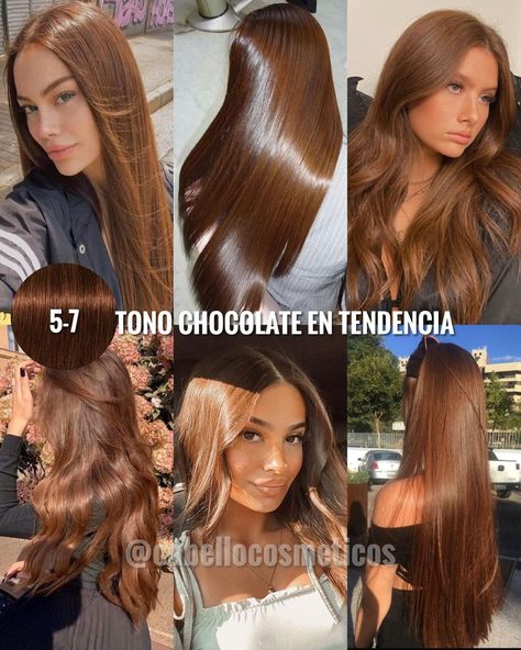 ¡TONOS MÁS VENDIDOS! 😍 ¿Cuál tono es tu favorito? 😍❤️ te leemos en los comentarios ⬇️✨ Guarda este post de inspiración 🤩 ⭐️ Igora Royal es… | Instagram Fudge Hair Colour, Hair Colour For Asian Skin, Best Hair Color For Light Olive Skin, Light Brown Chestnut Hair, Cinnamon Brown Hair Colors, Blonde Chocolate Hair, Chocolate Brown Hair On Tan Skin, Filipina Hair Color, Mix Hair Color Ideas