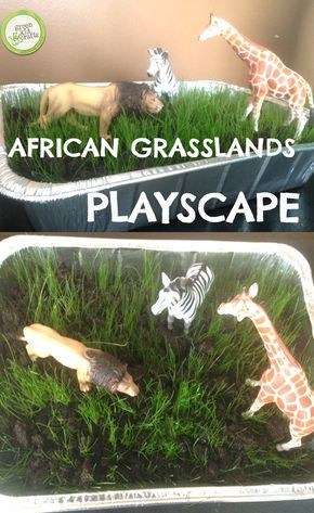 Make your own African playscape with this experiment! http://www.greenkidcrafts.com/african-grasslands/ African Grasslands, Safari Science, Animal Migration, Habitat Activities, Fun Experiments For Kids, Grassland Habitat, Safari Activities, Let It Grow, Classroom Transformation